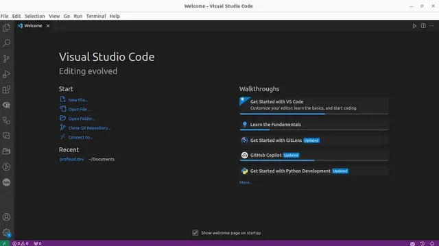Skills to Master in 2024 to Become a Web Developer
