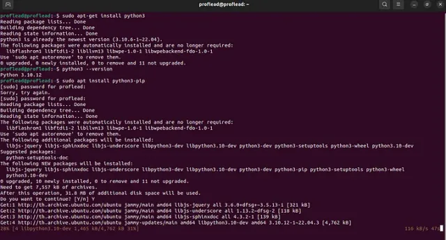 Install PIP