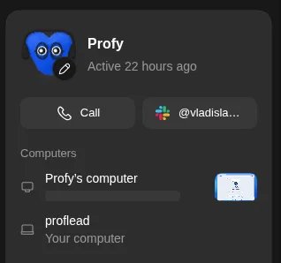 Profy's profile showing Profy's computer and a separate proflead entry labeled Your computer